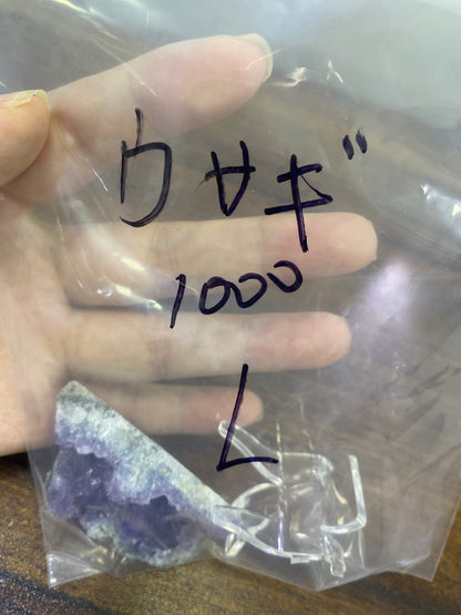 27-ウサギ様