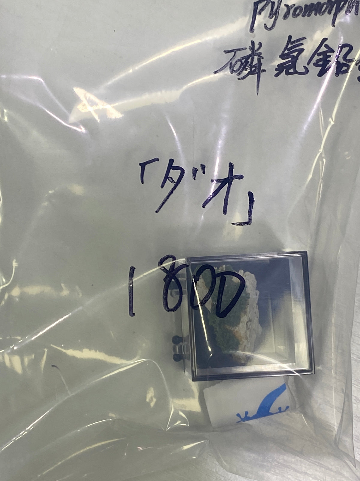 73-ダオ様9月18日まで