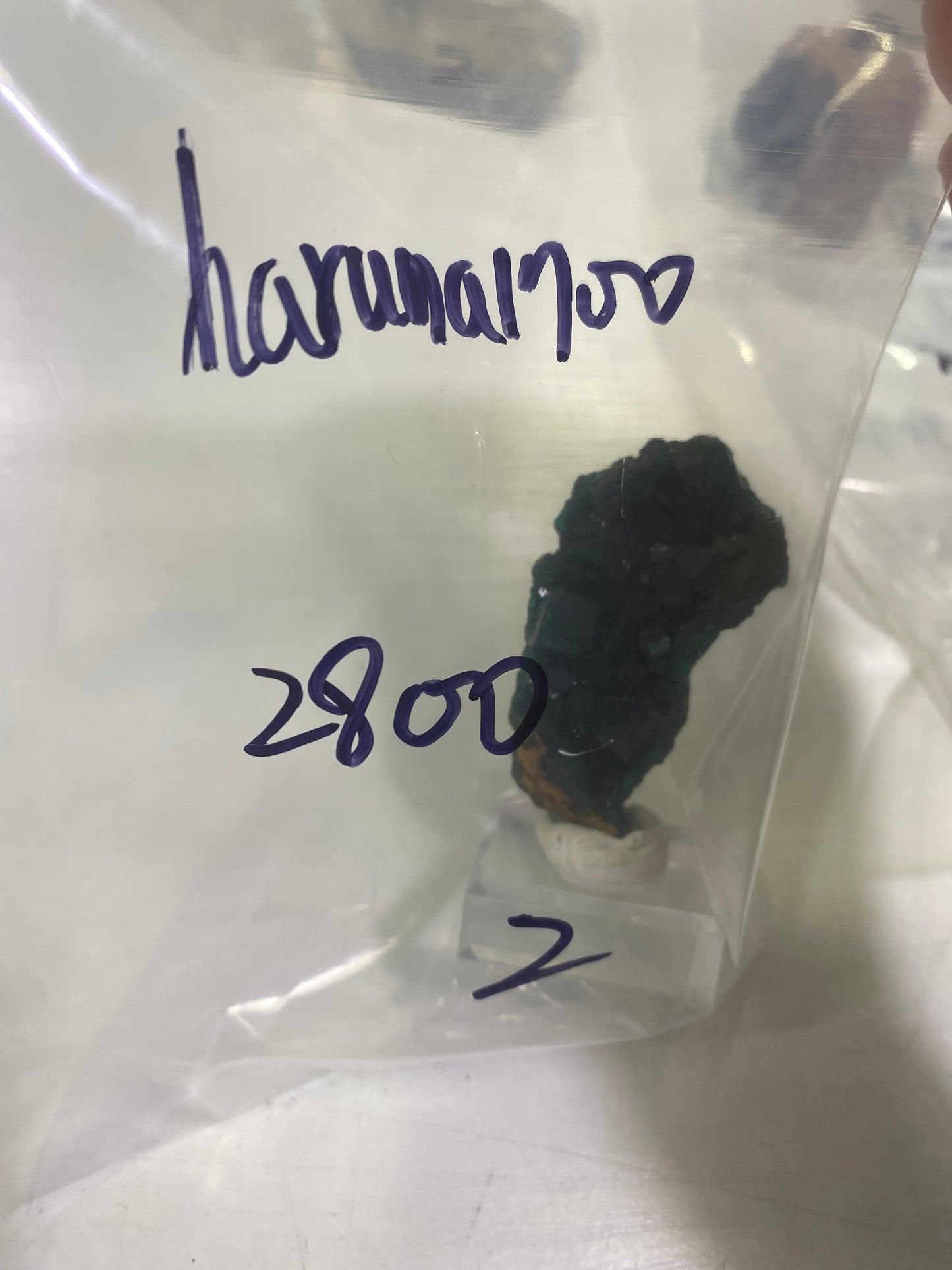 51-haruna1700様