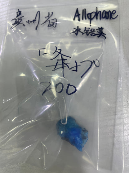 110-一条様