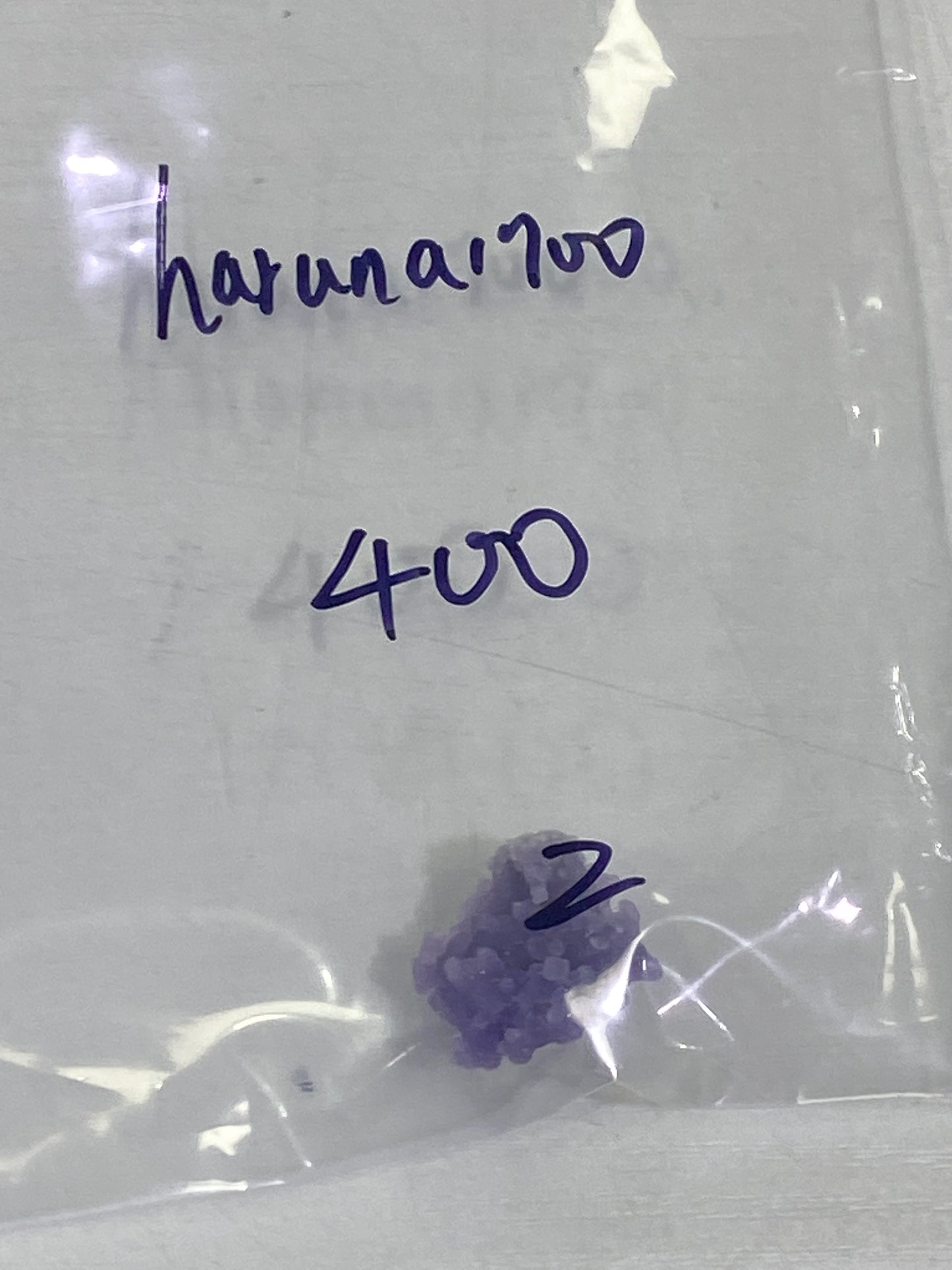 29-haruna1700様8月24日まで