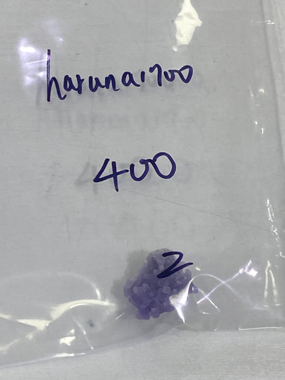 29-haruna1700様8月24日まで