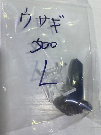 11-ウサギ様