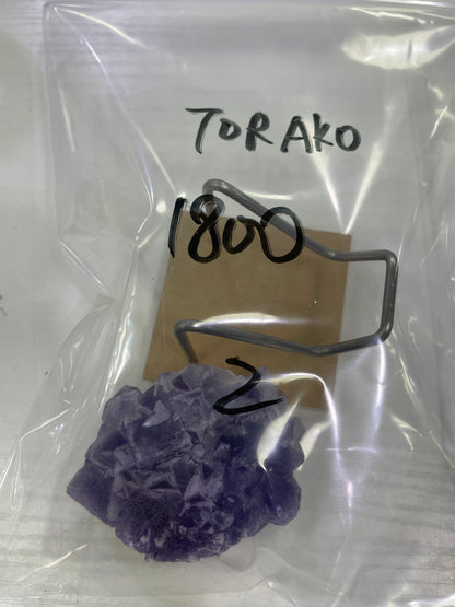 39-TORAKO様