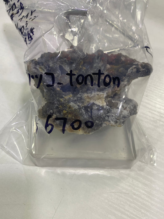 17-トンカツコ様
