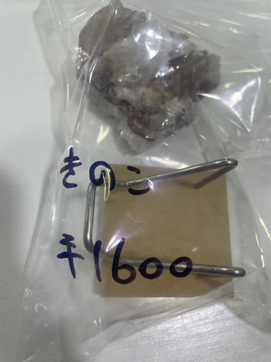 72-きのこ様paypay