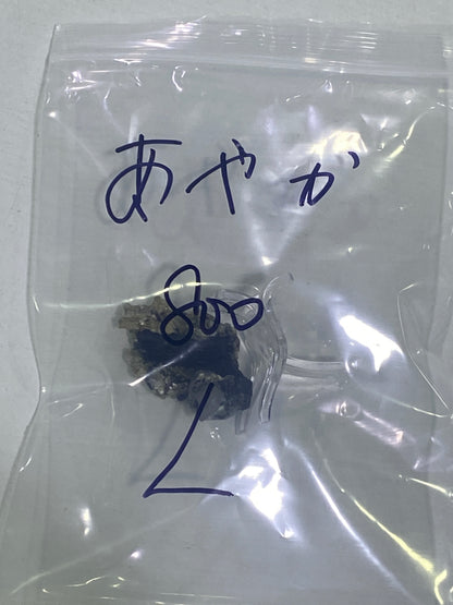 19-あやか様9月19日まで