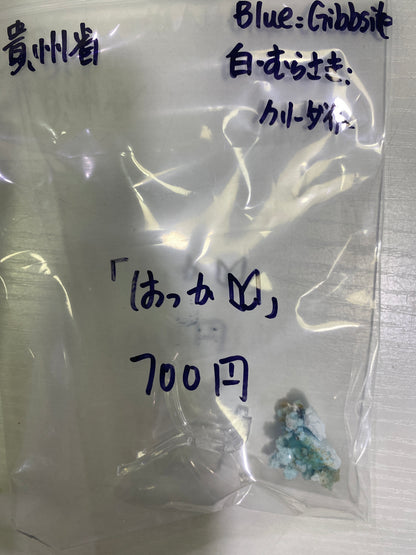 25-はっか様8月23日まで