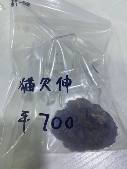 19-猫欠伸様