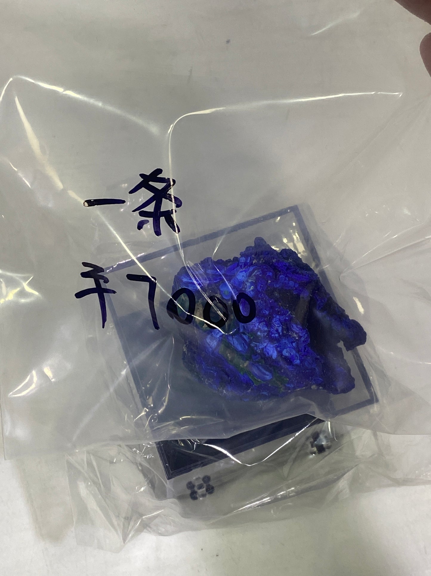 04-一条様