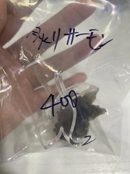 18-炙りサーモン様