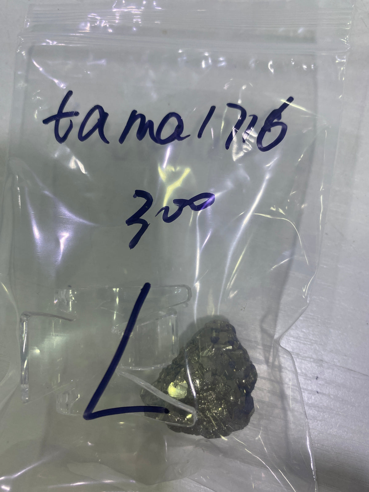 61-tama1716様9月15日