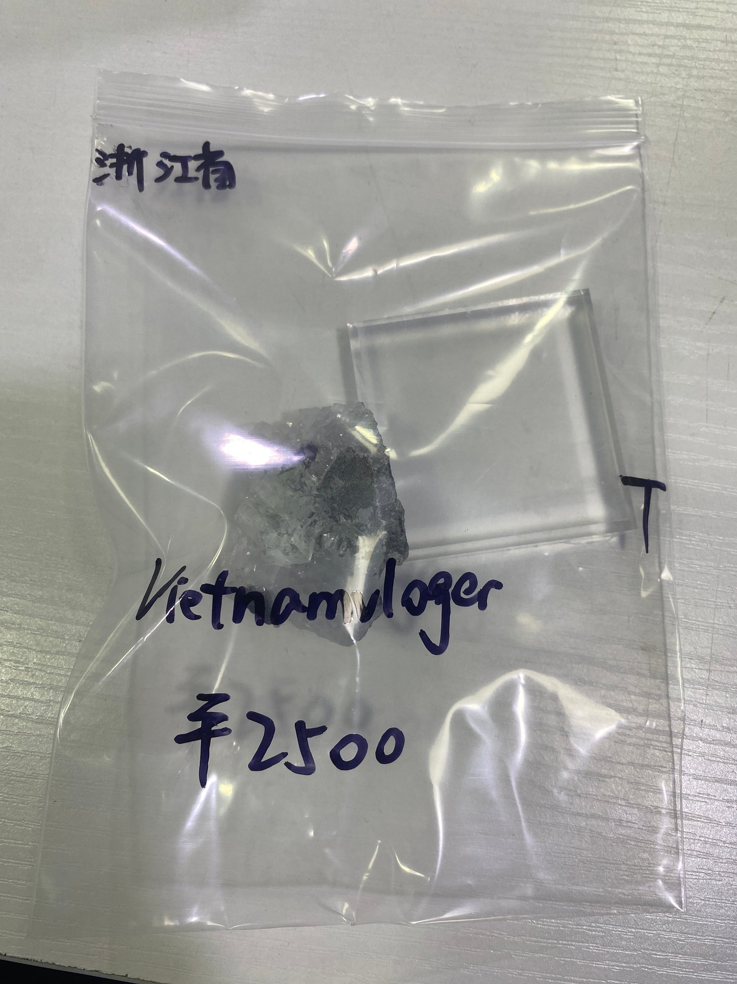 19ーvietnamvloger様