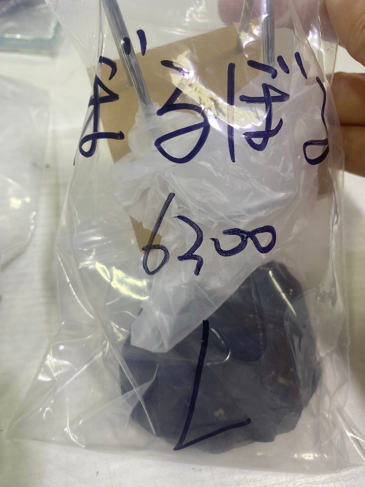 55-ぼるぼる様9月22日まで