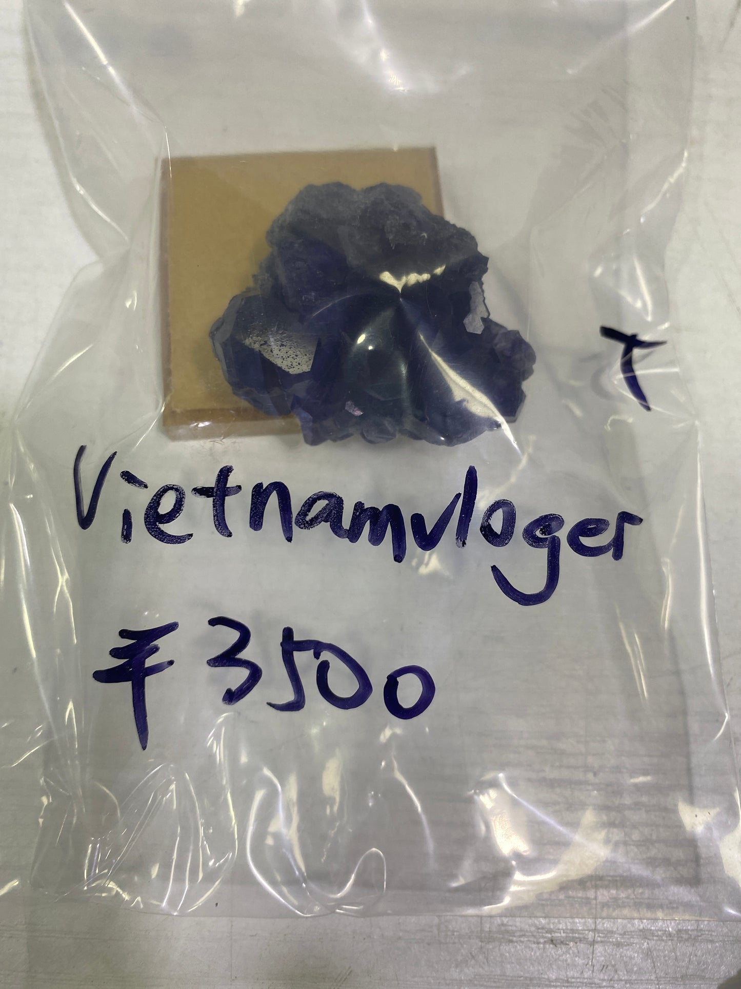 33-vietnamvloger様