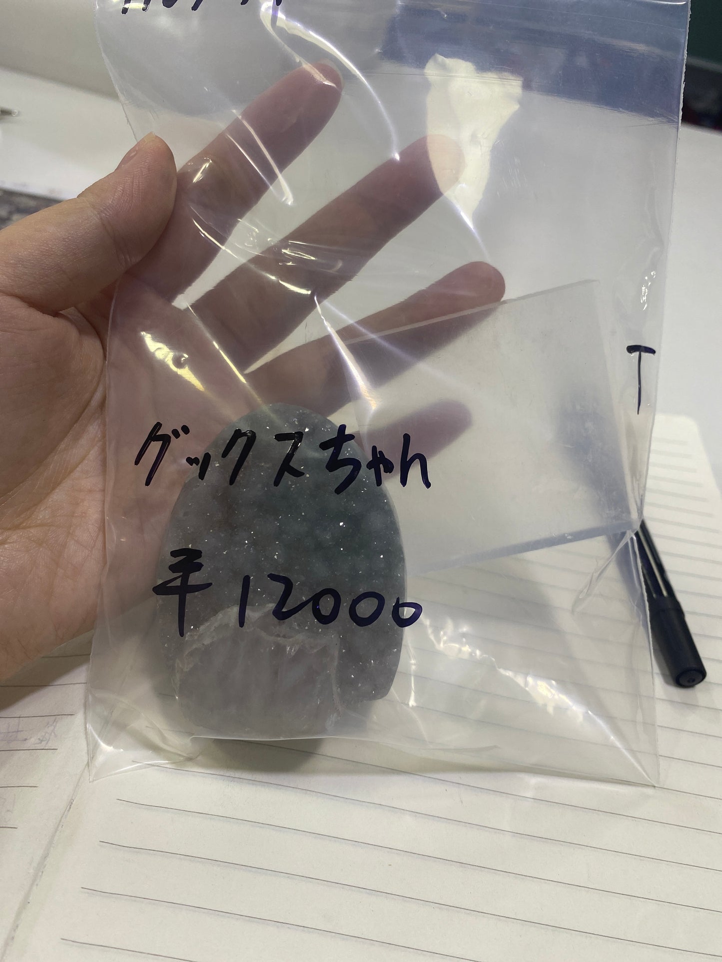 37-グックスちゃん様