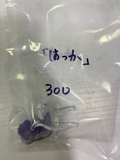 25-はっか様8月23日まで