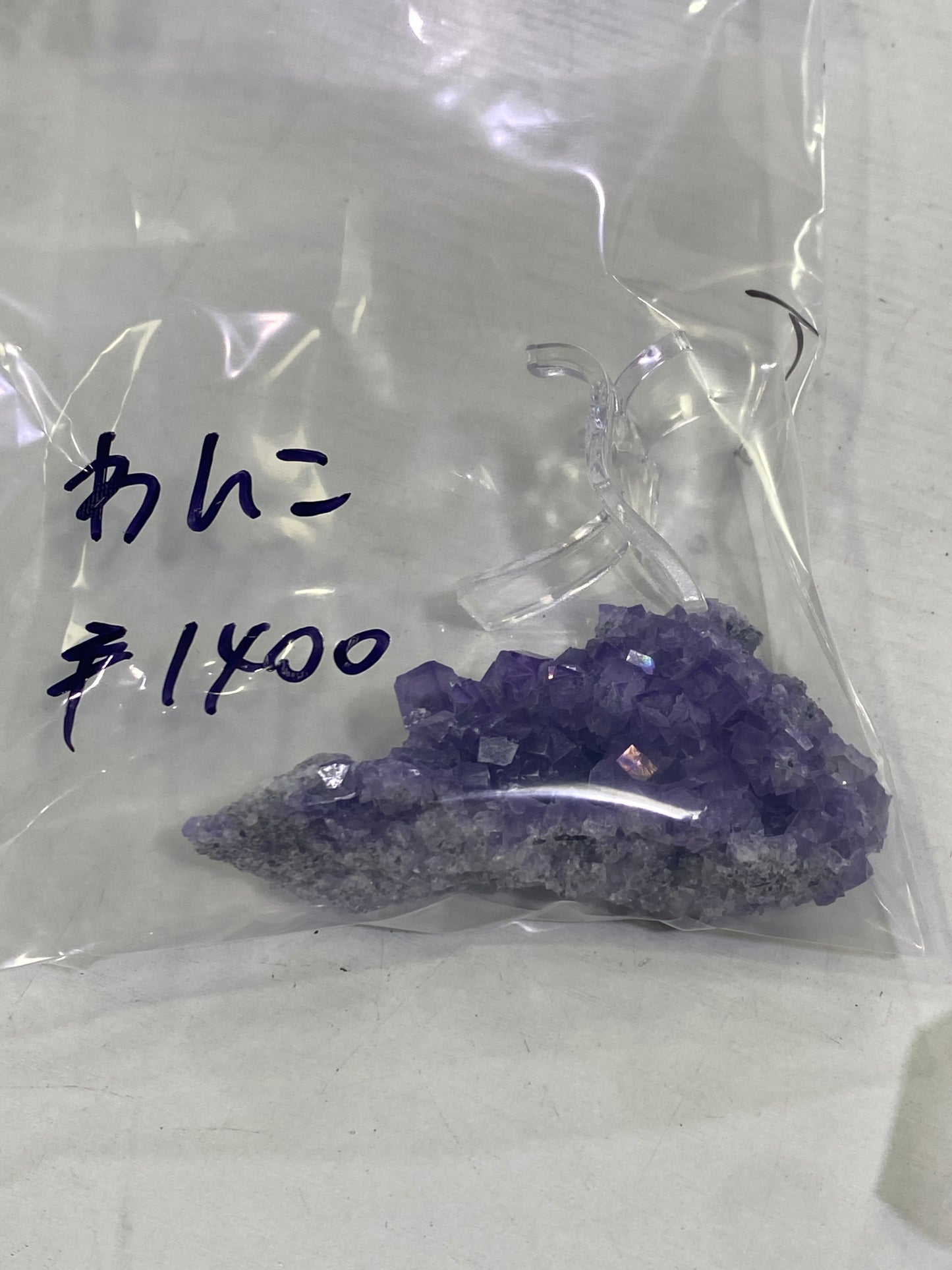 01-わんこ様
