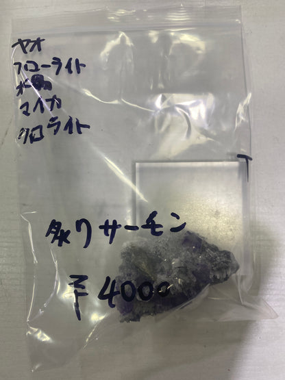 36-炙りサーモン様