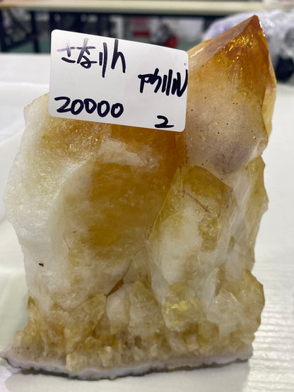 51-さなりん様可能paypay