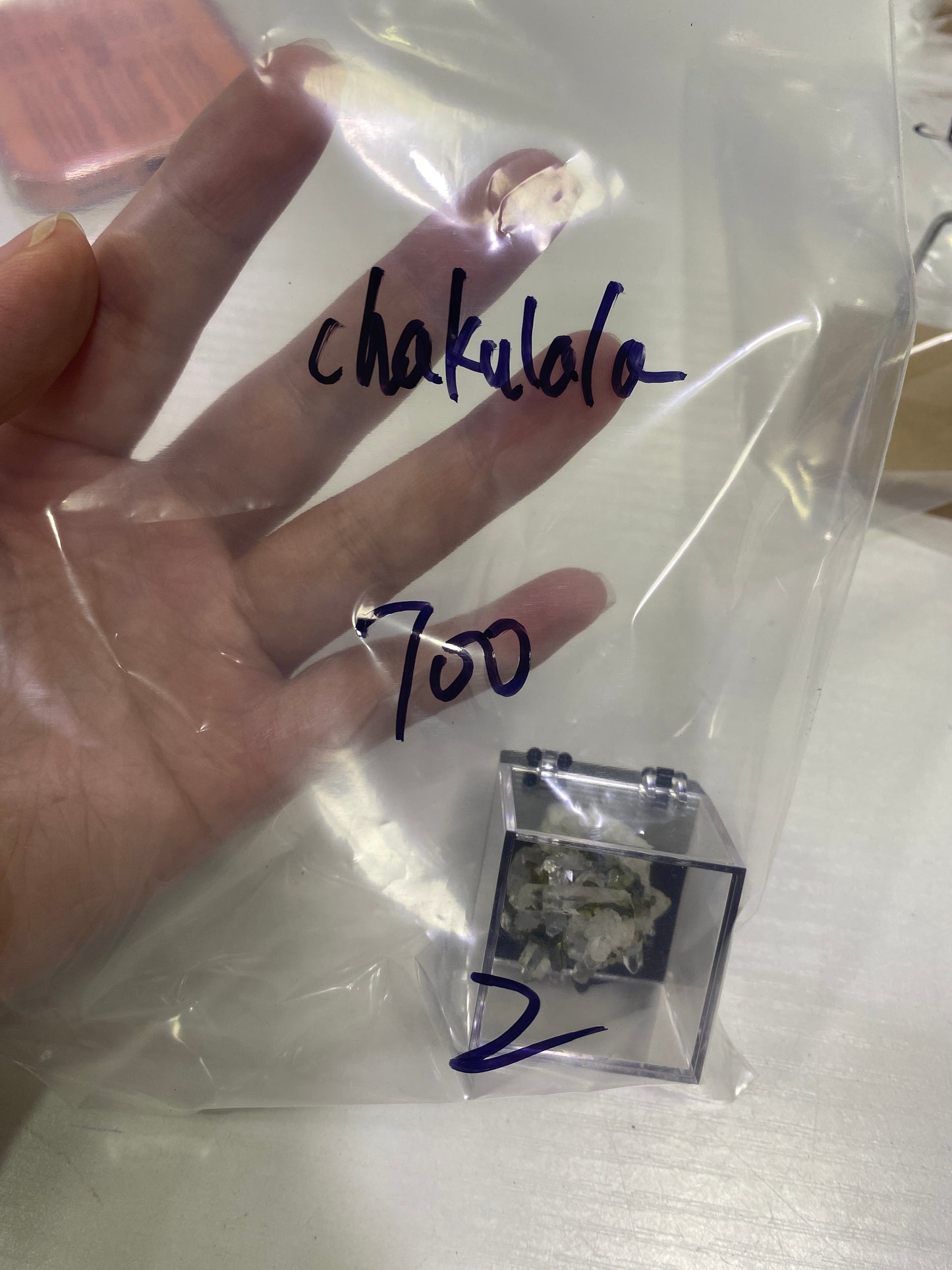 36-chakulala様