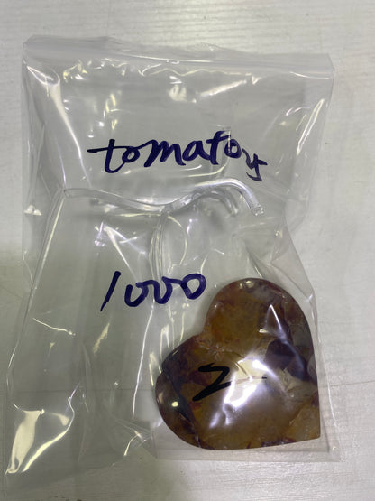19-tomato25様