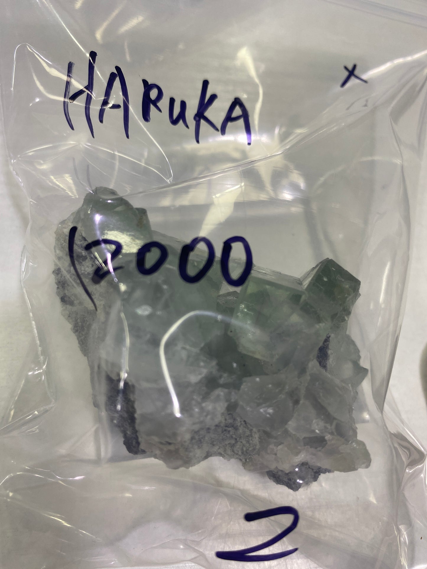 74-HARUKA様