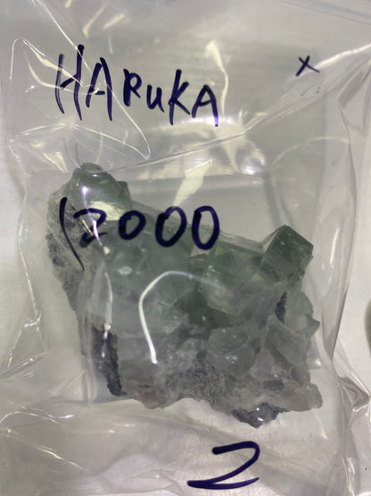74-HARUKA様